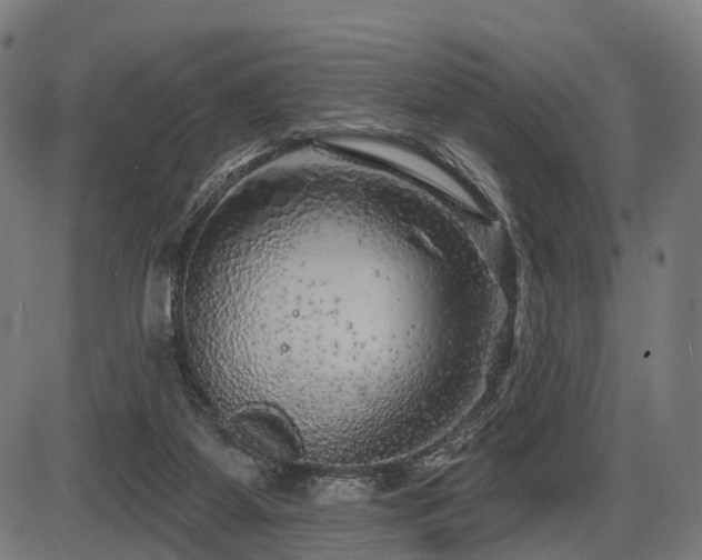 X0000087530115200704271217