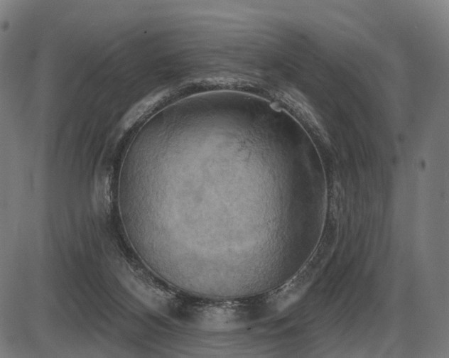 X0000087530116200704271217