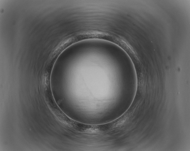X0000087530119200704271217
