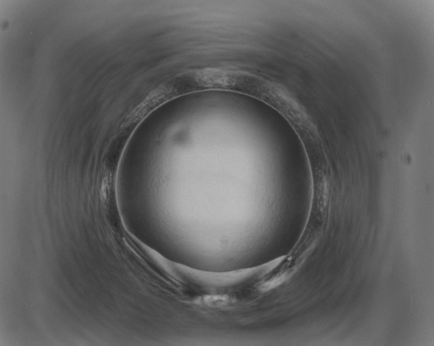 X0000087530125200704271216