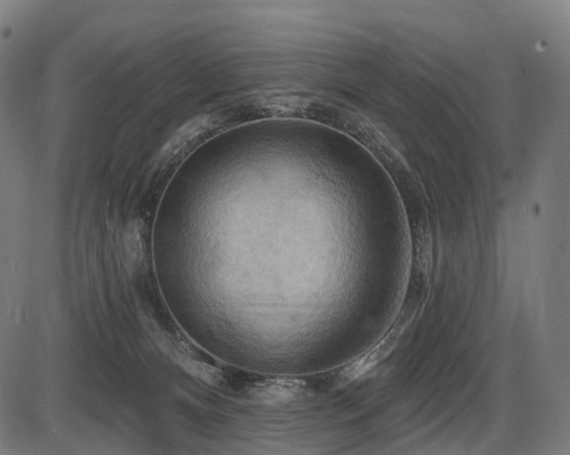 X0000087530128200704271216