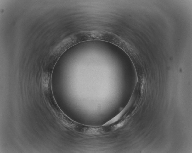 X0000087530129200704271216