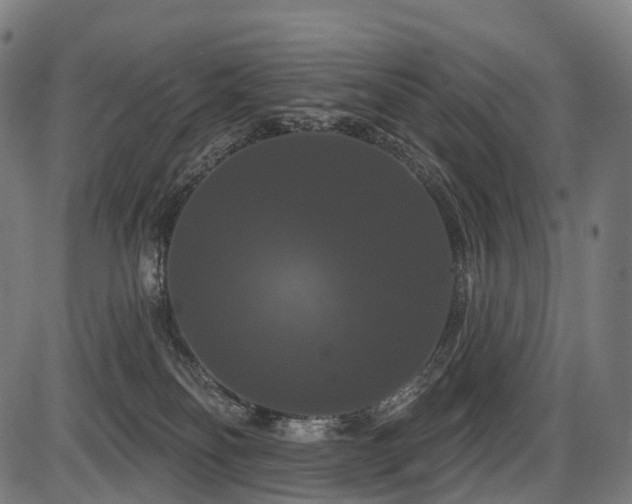 X0000087530134200704271216