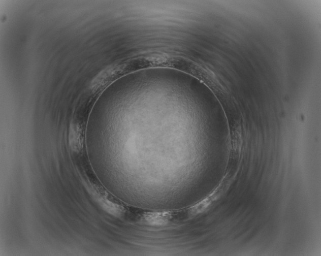 X0000087530136200704271216