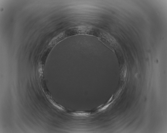 X0000087530137200704271216