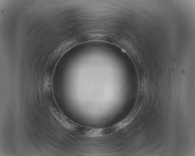 X0000087530138200704271216