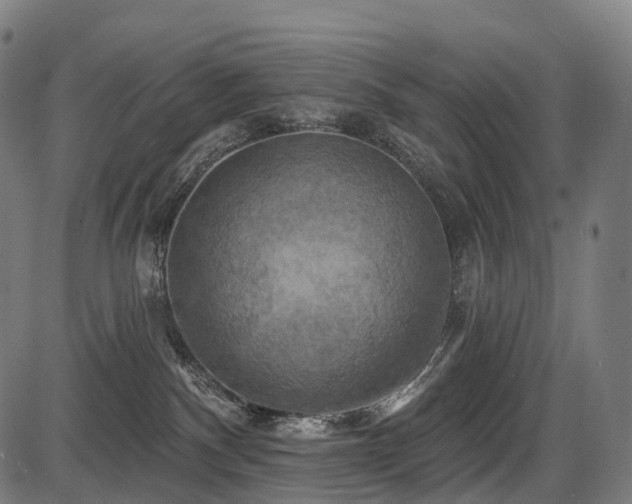X0000087530140200704271216