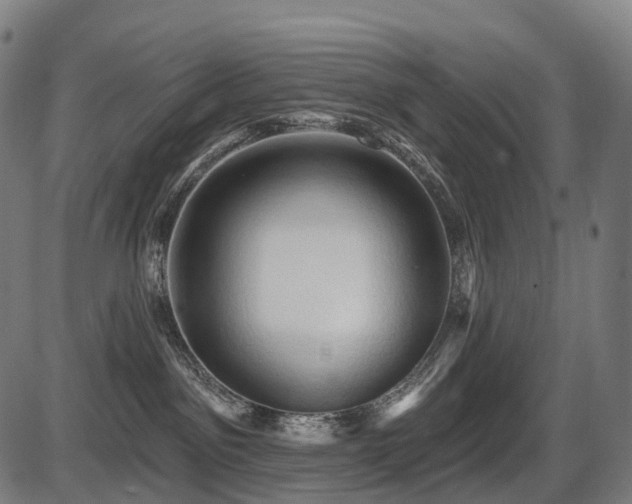 X0000087530141200704271216