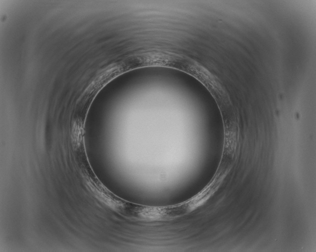 X0000087530142200704271216