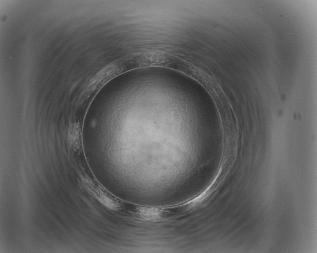 X0000087530144200704271216