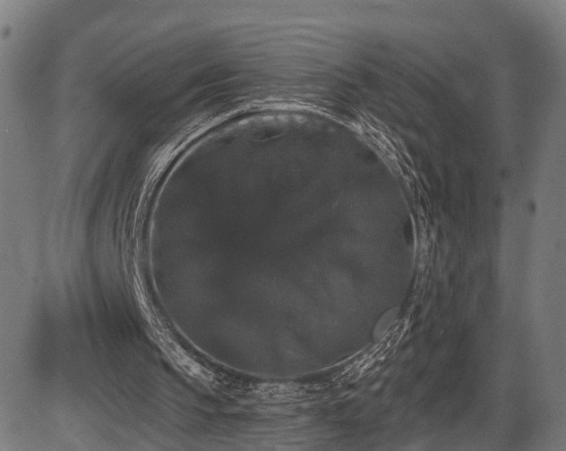 X0000087530145200704271215