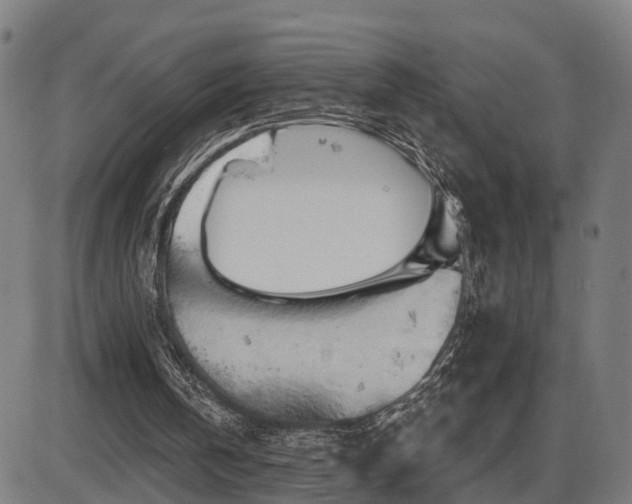 X0000087530146200704271215