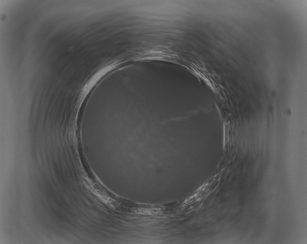 X0000087530147200704271215