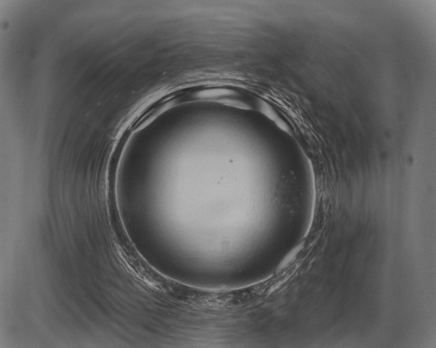 X0000087530148200704271215