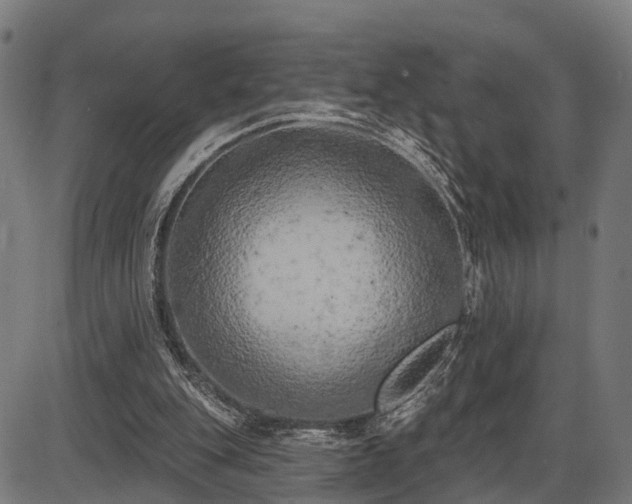 X0000087530151200704271215
