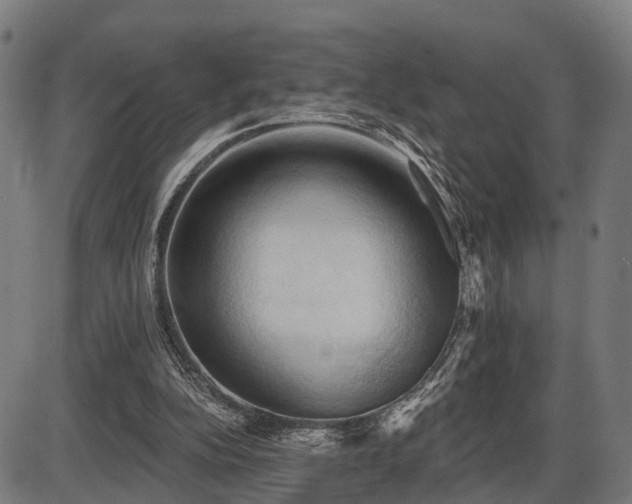 X0000087530152200704271215