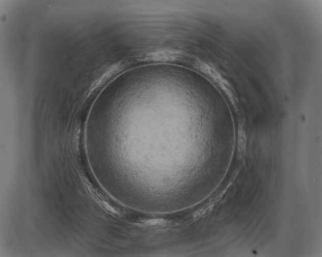 X0000087530153200704271215