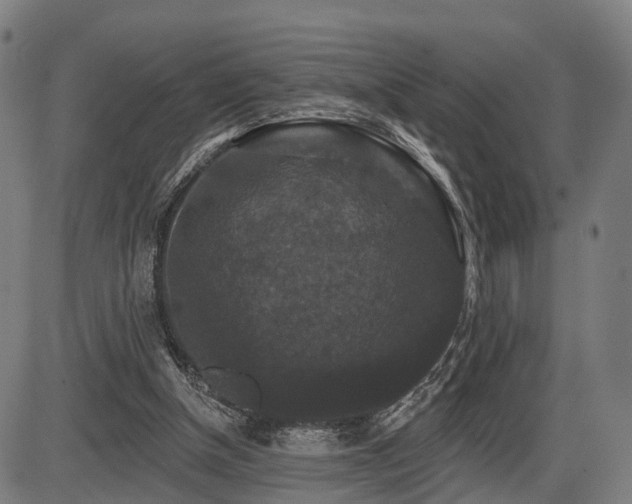 X0000087530154200704271215