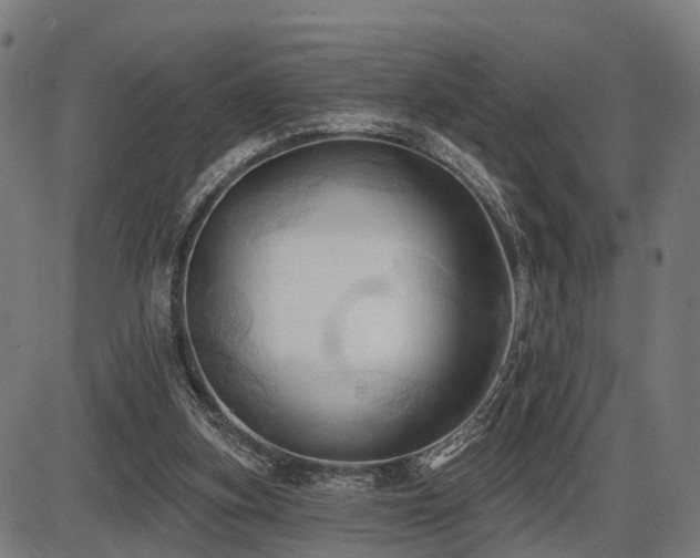 X0000087530155200704271215