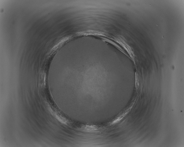X0000087530157200704271216