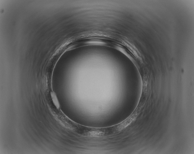 X0000087530158200704271216