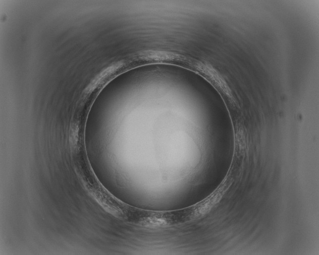 X0000087530159200704271216