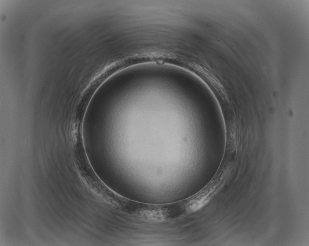 X0000087530160200704271216