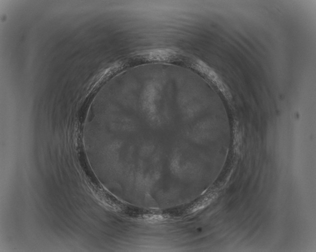 X0000087530161200704271216