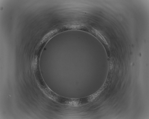 X0000087530163200704271216