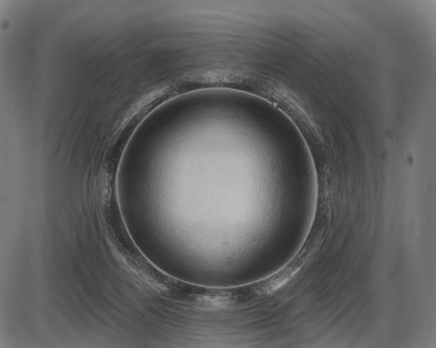 X0000087530164200704271216