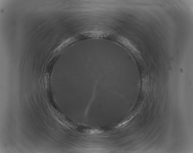 X0000087530165200704271216