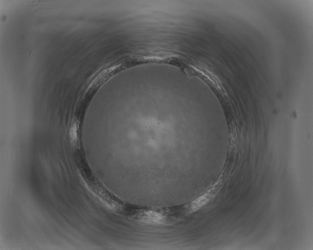 X0000087530166200704271216