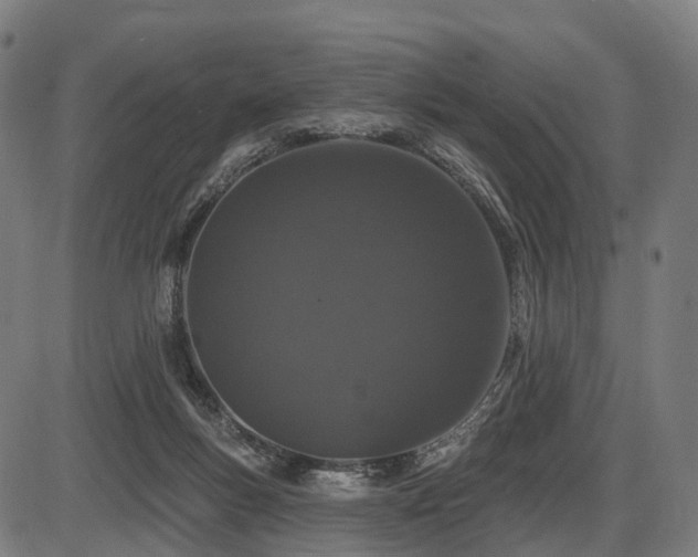 X0000087530167200704271216