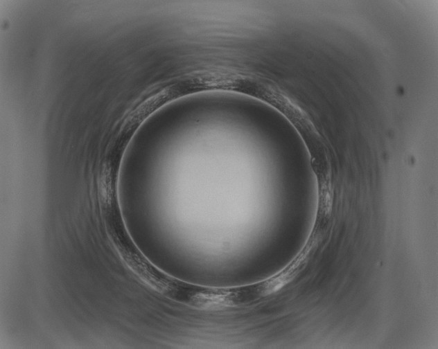 X0000087530170200704271216