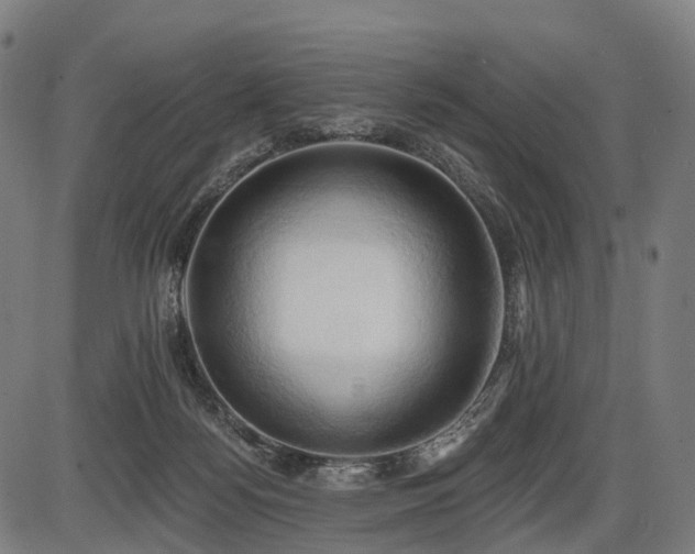 X0000087530172200704271216
