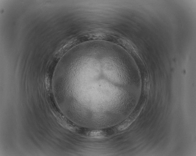 X0000087530173200704271216