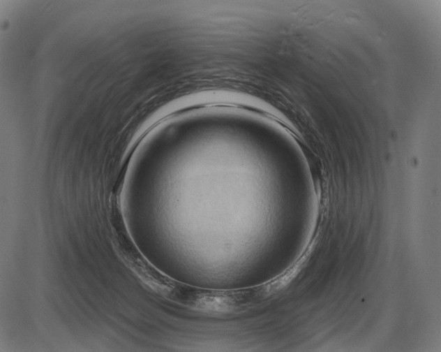 X0000087530174200704271216