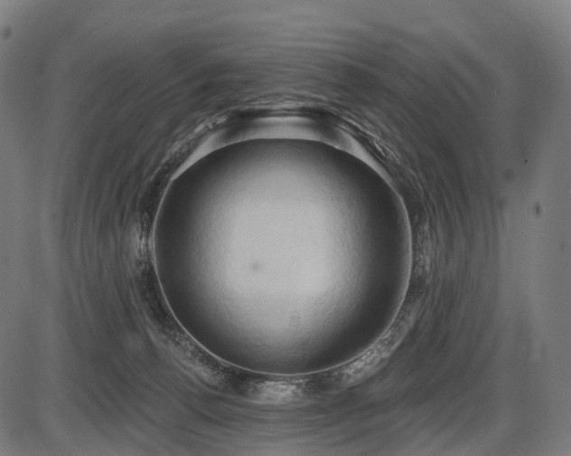 X0000087530176200704271216