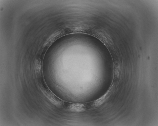 X0000087530179200704271216
