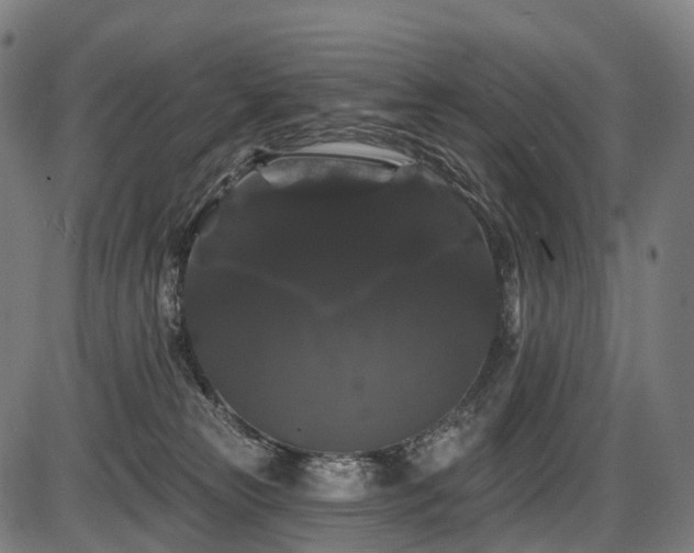 X0000087530181200704271216
