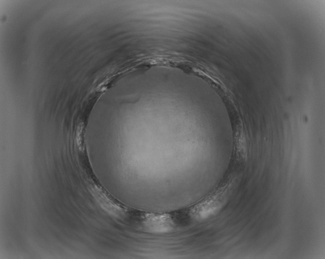 X0000087530185200704271216