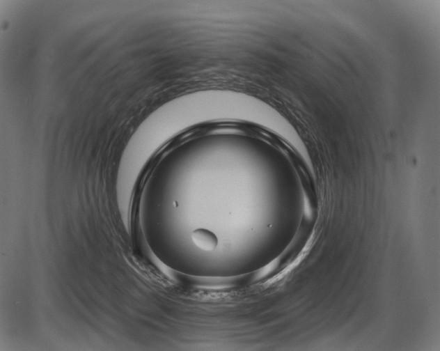 X0000087530186200704271216