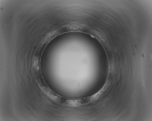 X0000087530187200704271216