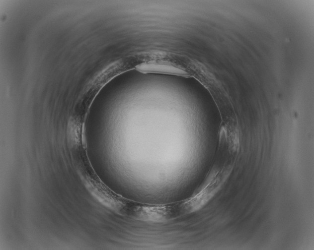 X0000087530188200704271216