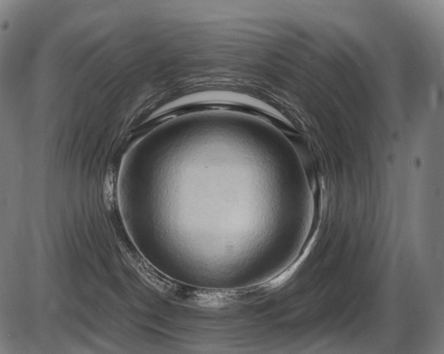 X0000087530190200704271216