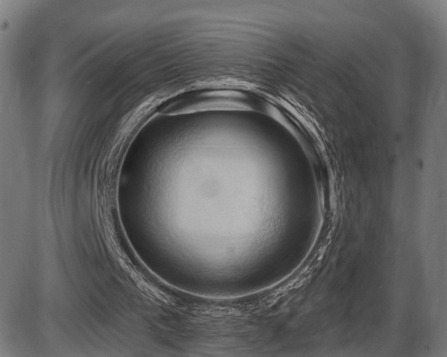 X0000087530193200704271215