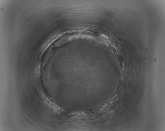 X0000087530194200704271215
