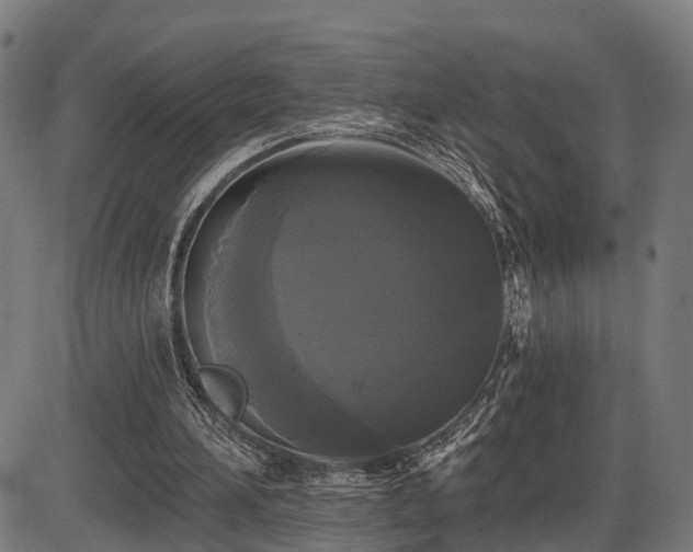 X0000087530196200704271215