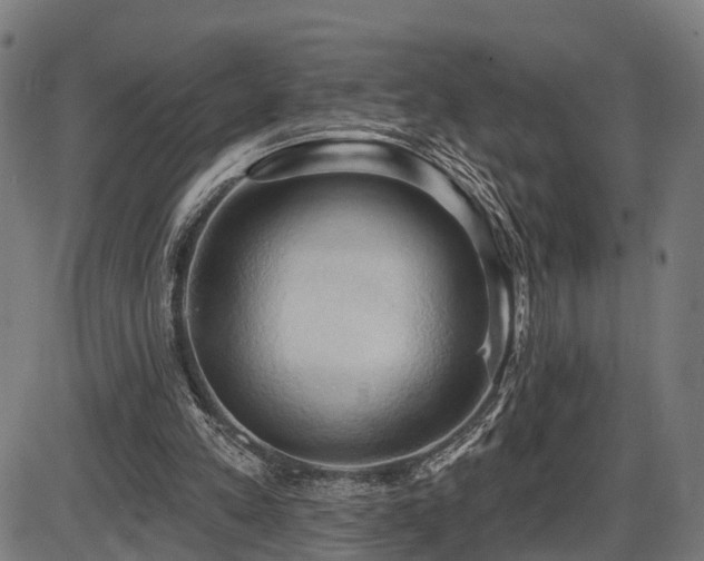 X0000087530197200704271215