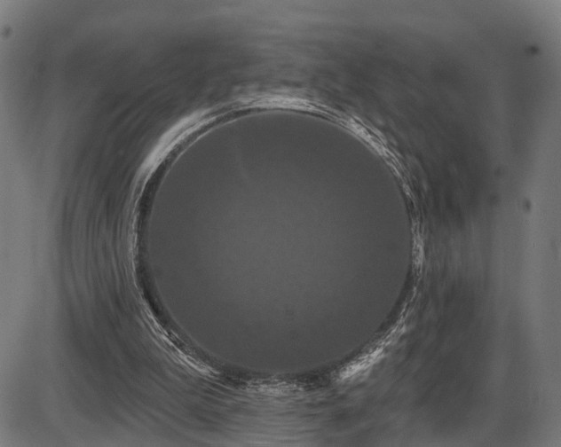 X0000087530199200704271215